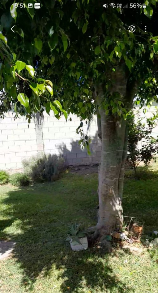 PROPIEDAD DE DOS PLANTAS